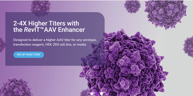 GMP RevIT? AAV Enhancer Launches Newly, Empowering GMP Production of AAV Vectors GMP RevIT? AAV Enhancer Launches Newly, Empowering GMP Production of AAV Vectors